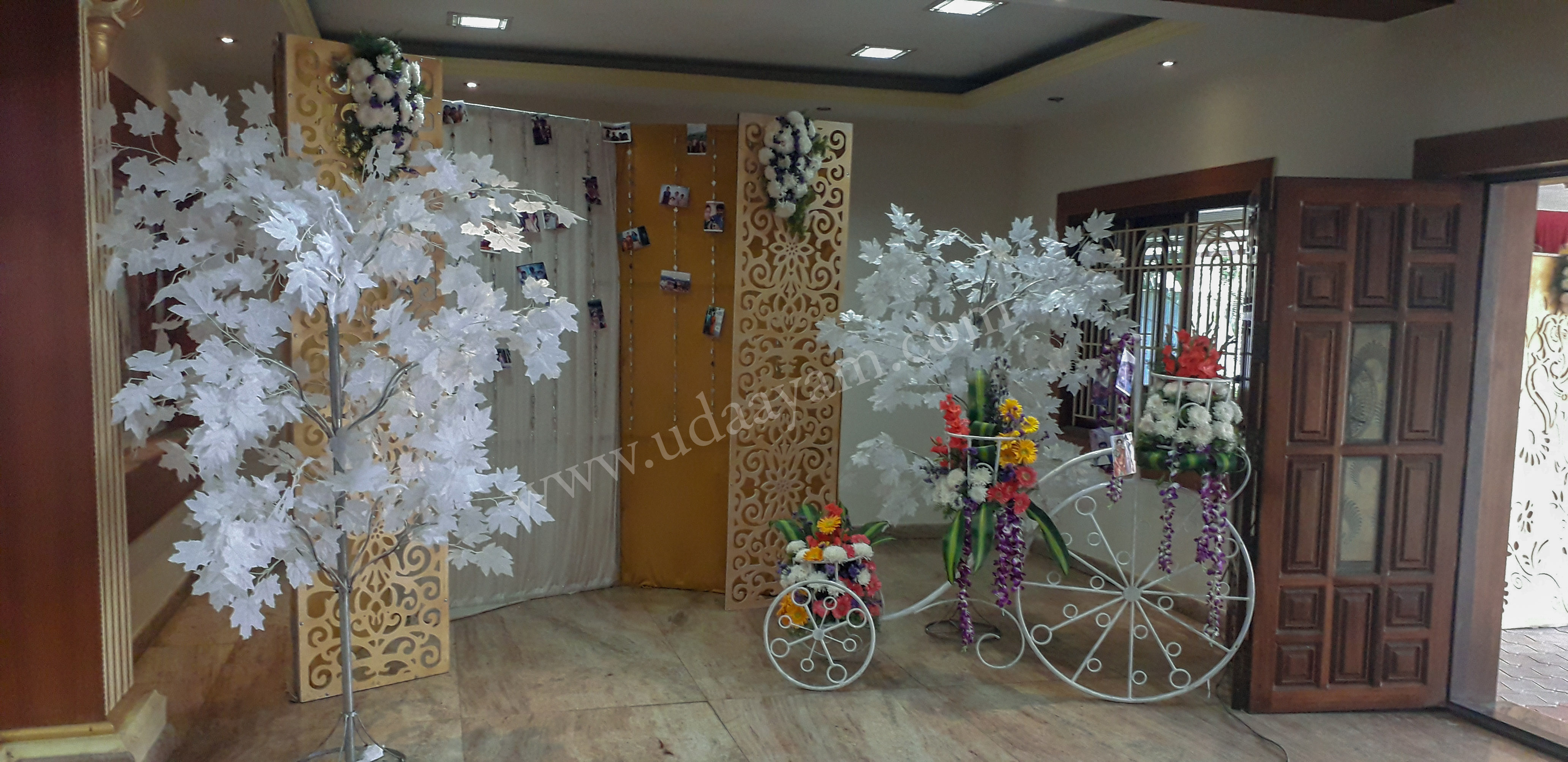 Entrance and pathway